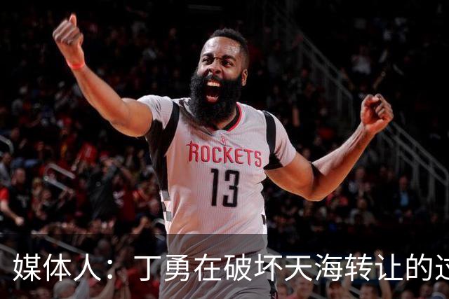 媒体人：丁勇在破坏天海转让的过程中曾拉刘奕下水